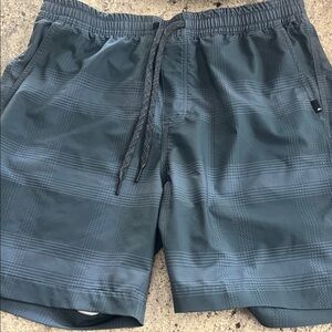 Quiksilver Men's Swim Trunks